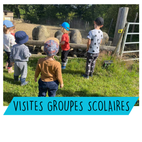 Visite guidée du domaine Ecoline