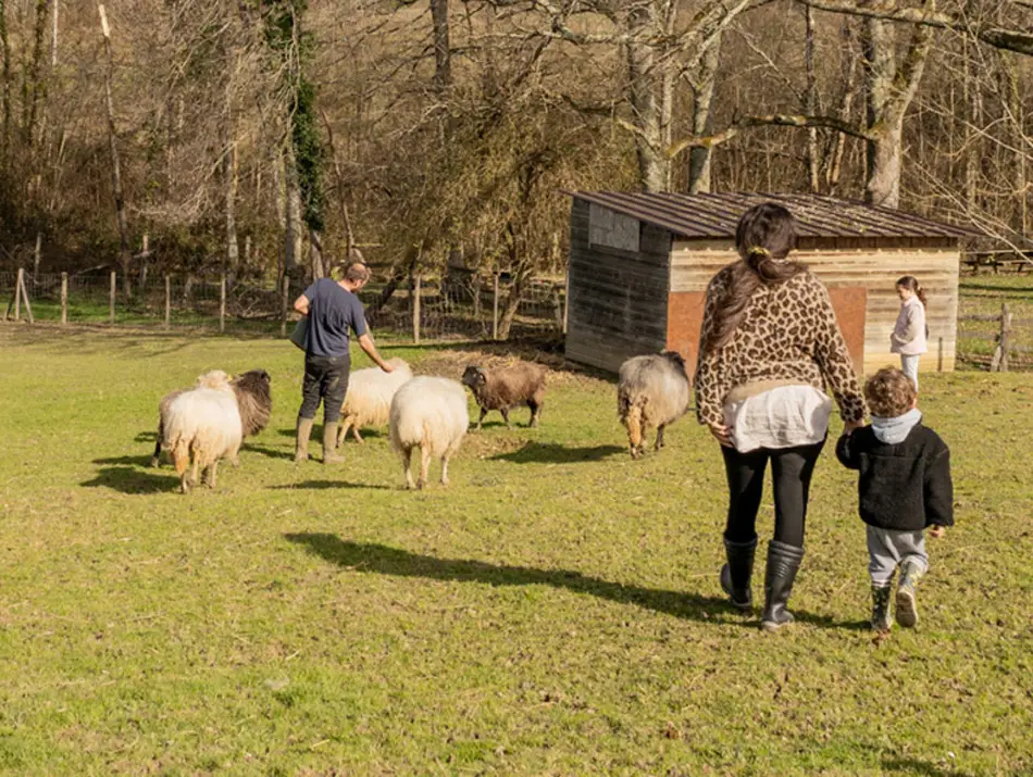 domaine-ecoline-famille